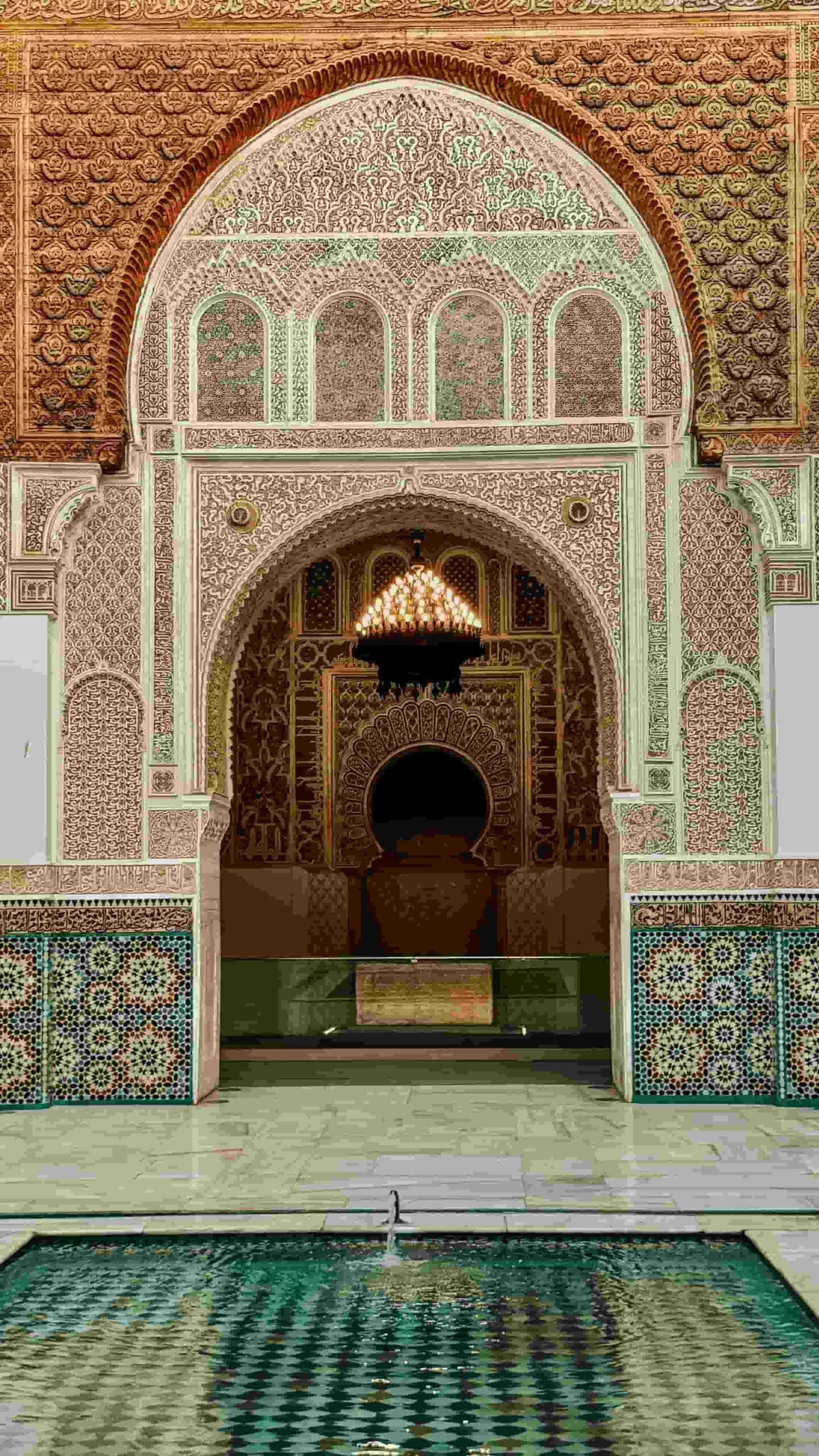 fes1 (1)