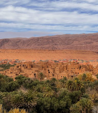 Palm groves of the Ziz Valley