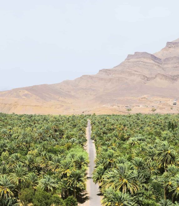 sahara2 (1)